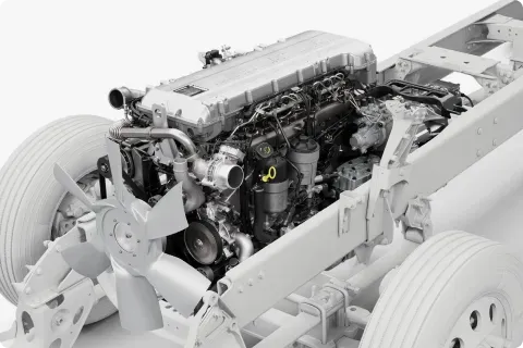 Amsa Camiones International