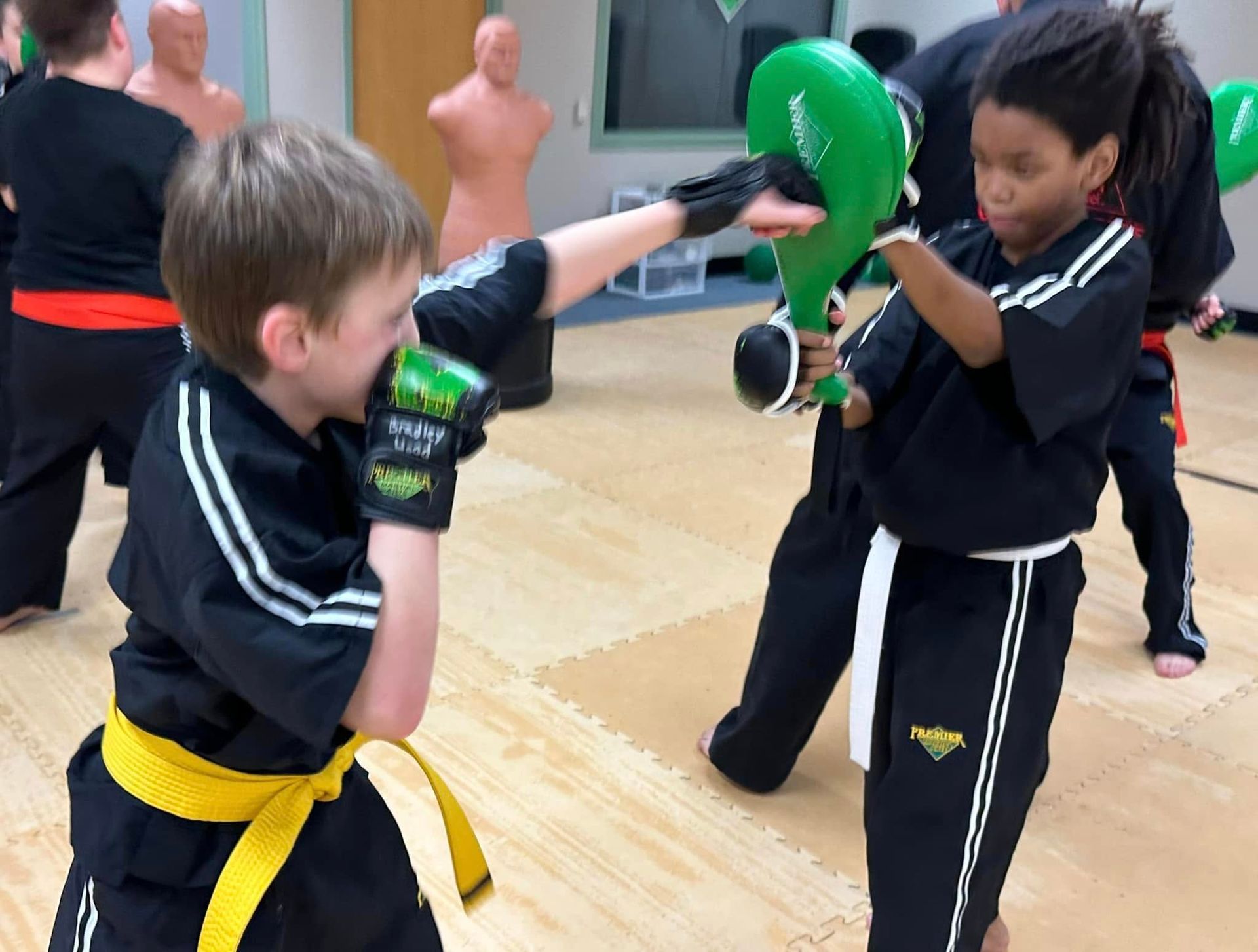 A boy wearing a premier martial arts shirt