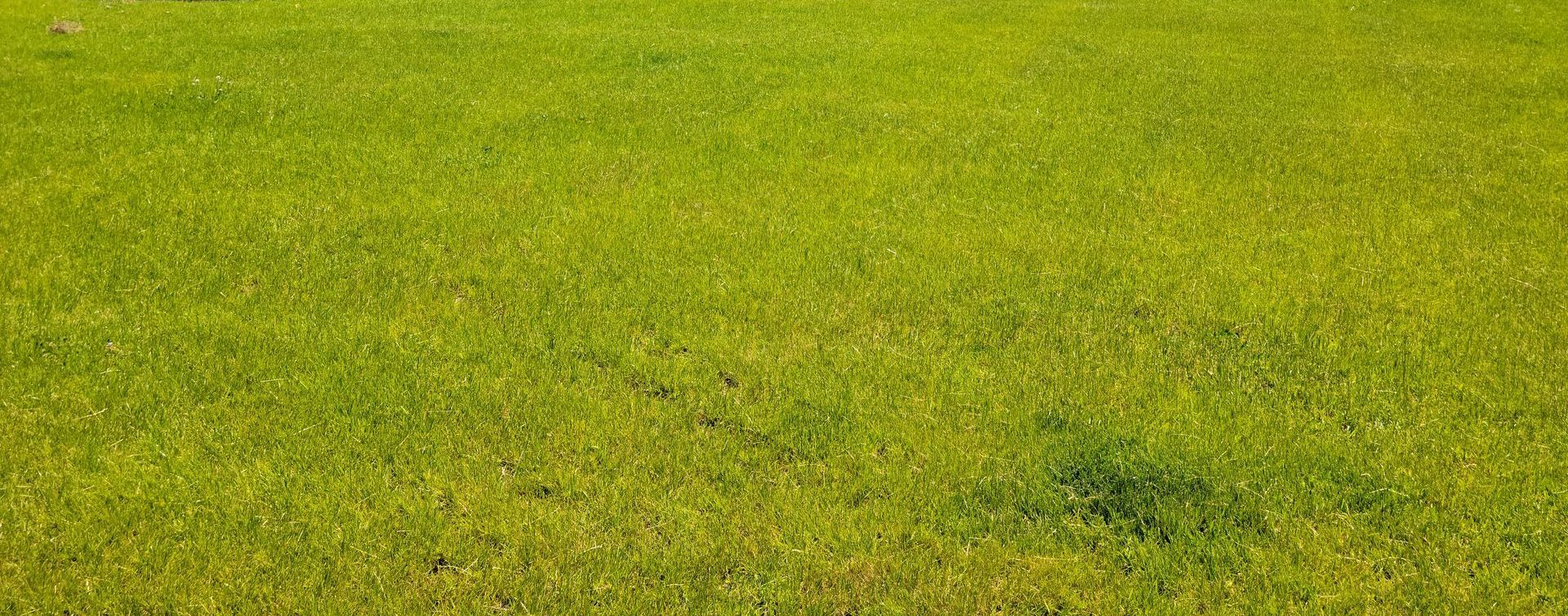 seeded lawn in Wausau, Wisconsin