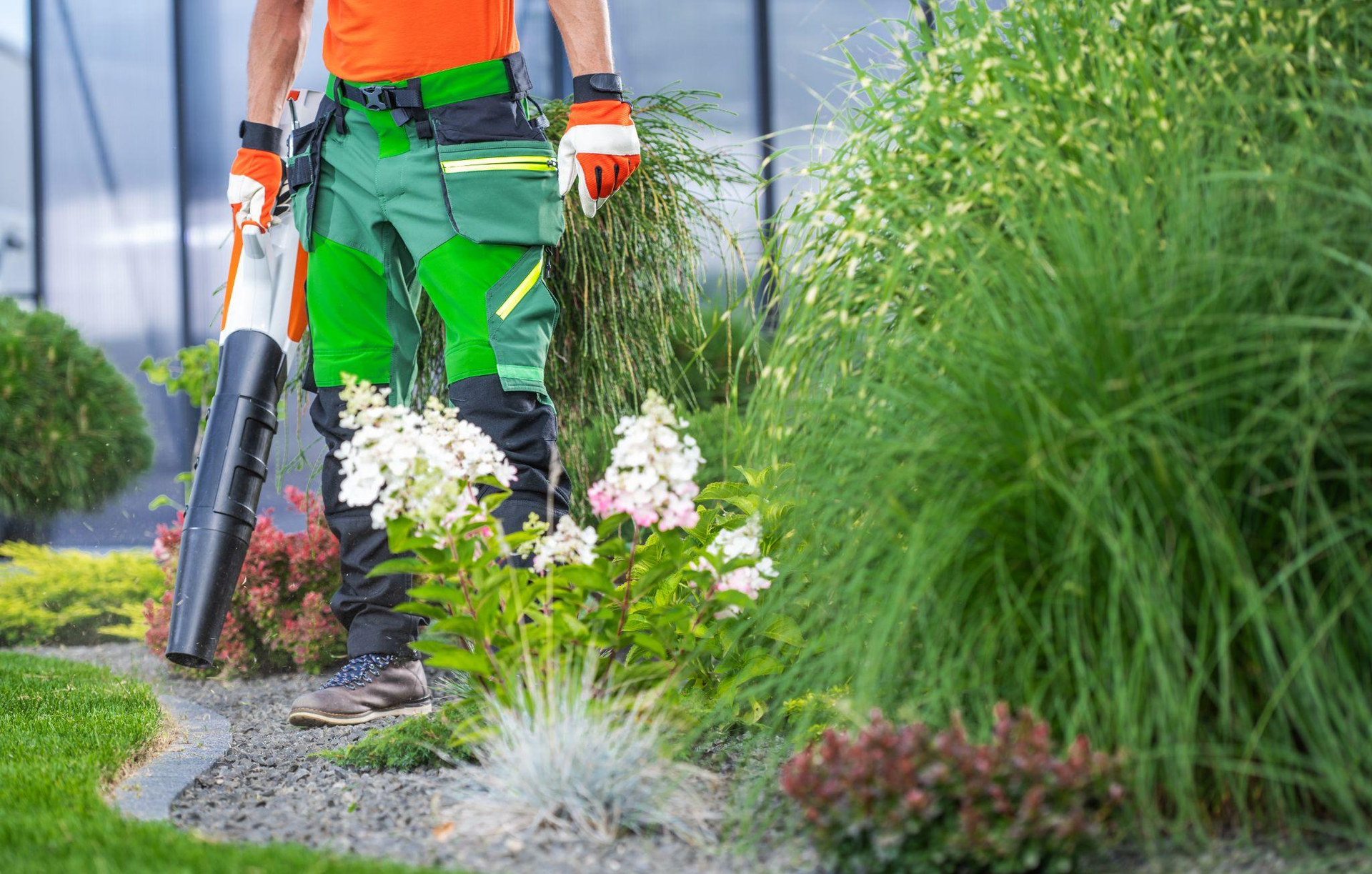 How Landscaping Services Can Increase Curb Appeal and Property Value