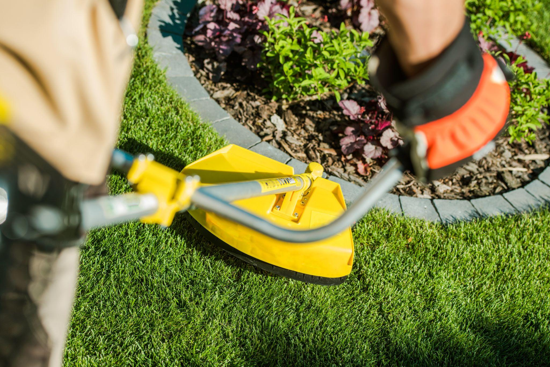 How to Keep Your Wausau Yard From Going Rogue