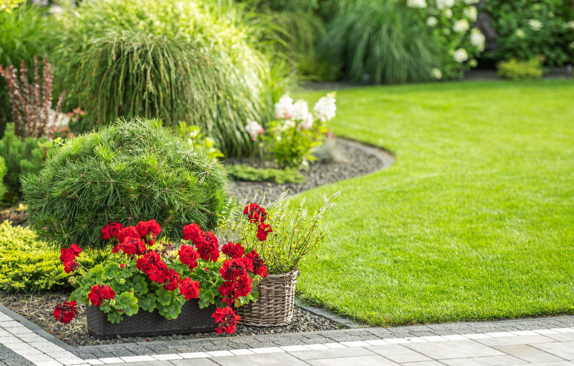 Seasonal Landscaping Services Every Homeowner Needs