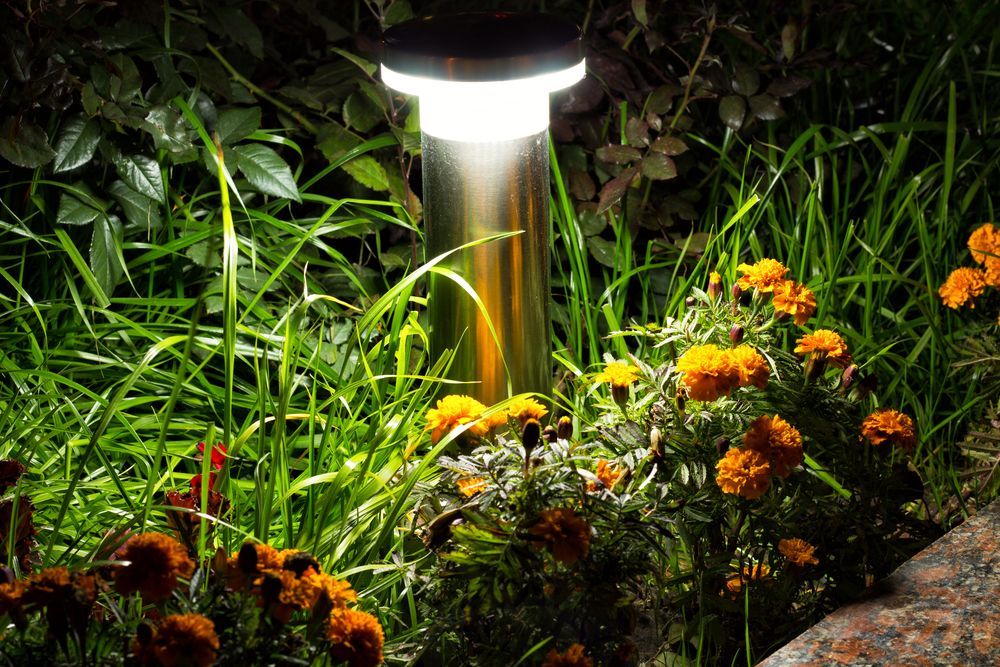 A garden with flowers and a light in the middle of it.