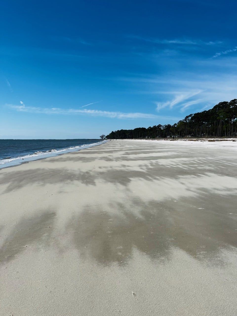 A sandy beach with trees in the background and a blue sky