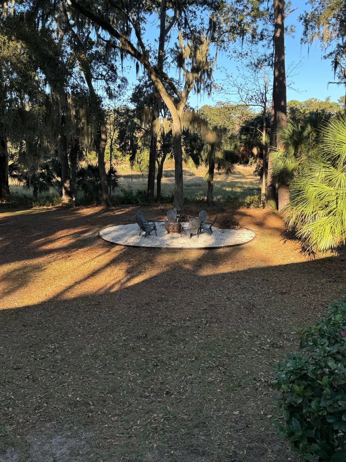 There is a fire pit in the middle of the woods.