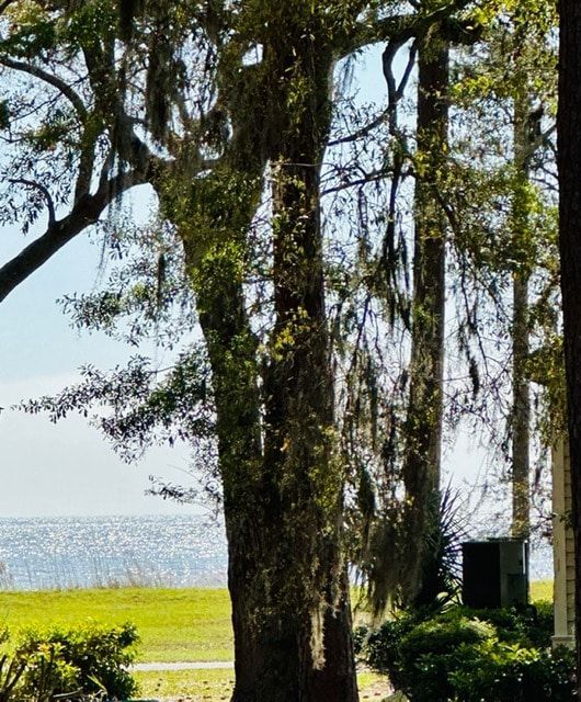 A view of a body of water through the trees