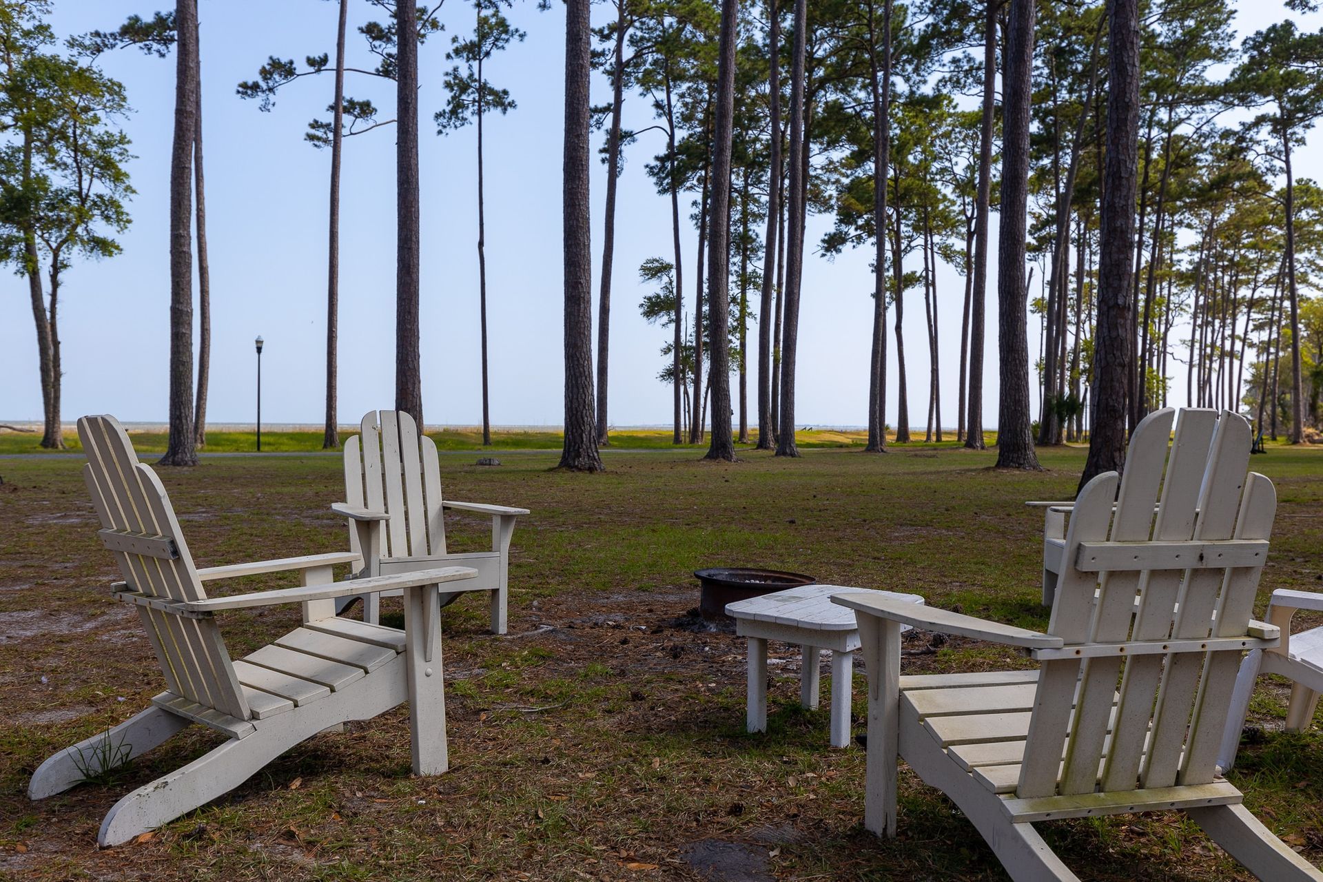 A group of white adirondack chairs are sitting in a field with trees in the background