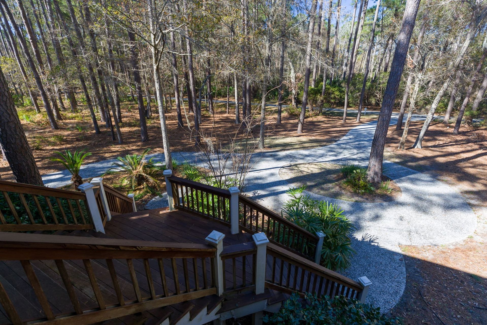 A wooden deck with stairs leading up to it in the middle of a forest.