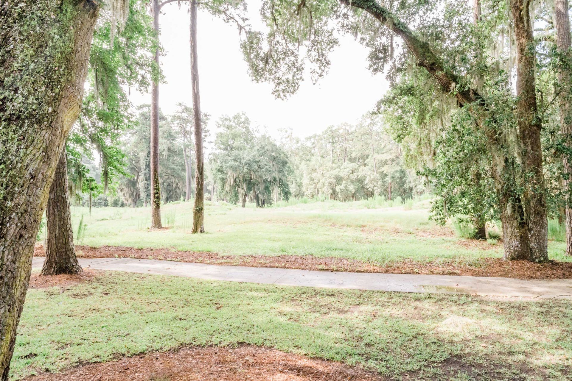 A path going through a park surrounded by trees and grass.