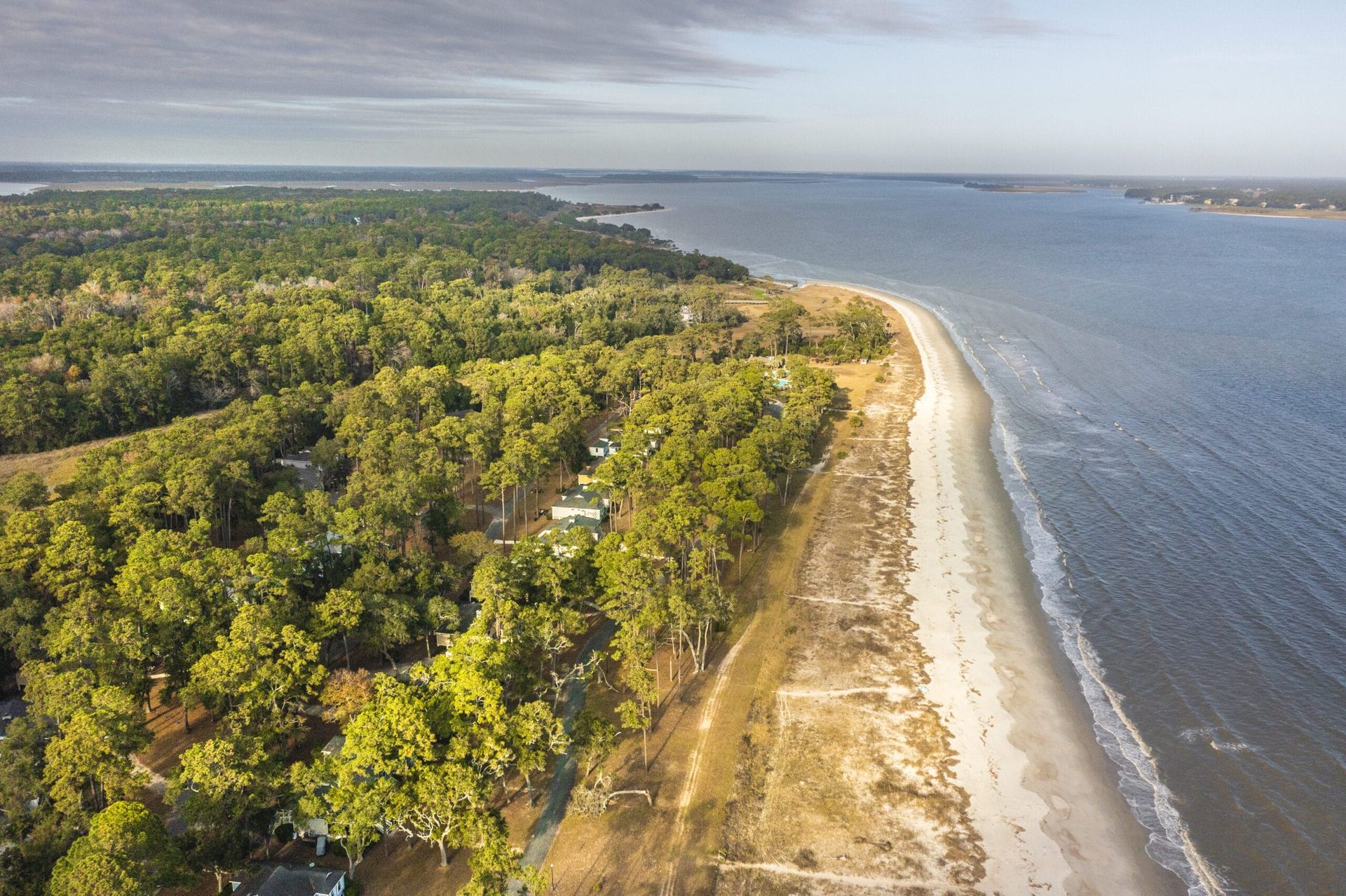 An aerial view of a beach with trees and a body of water.