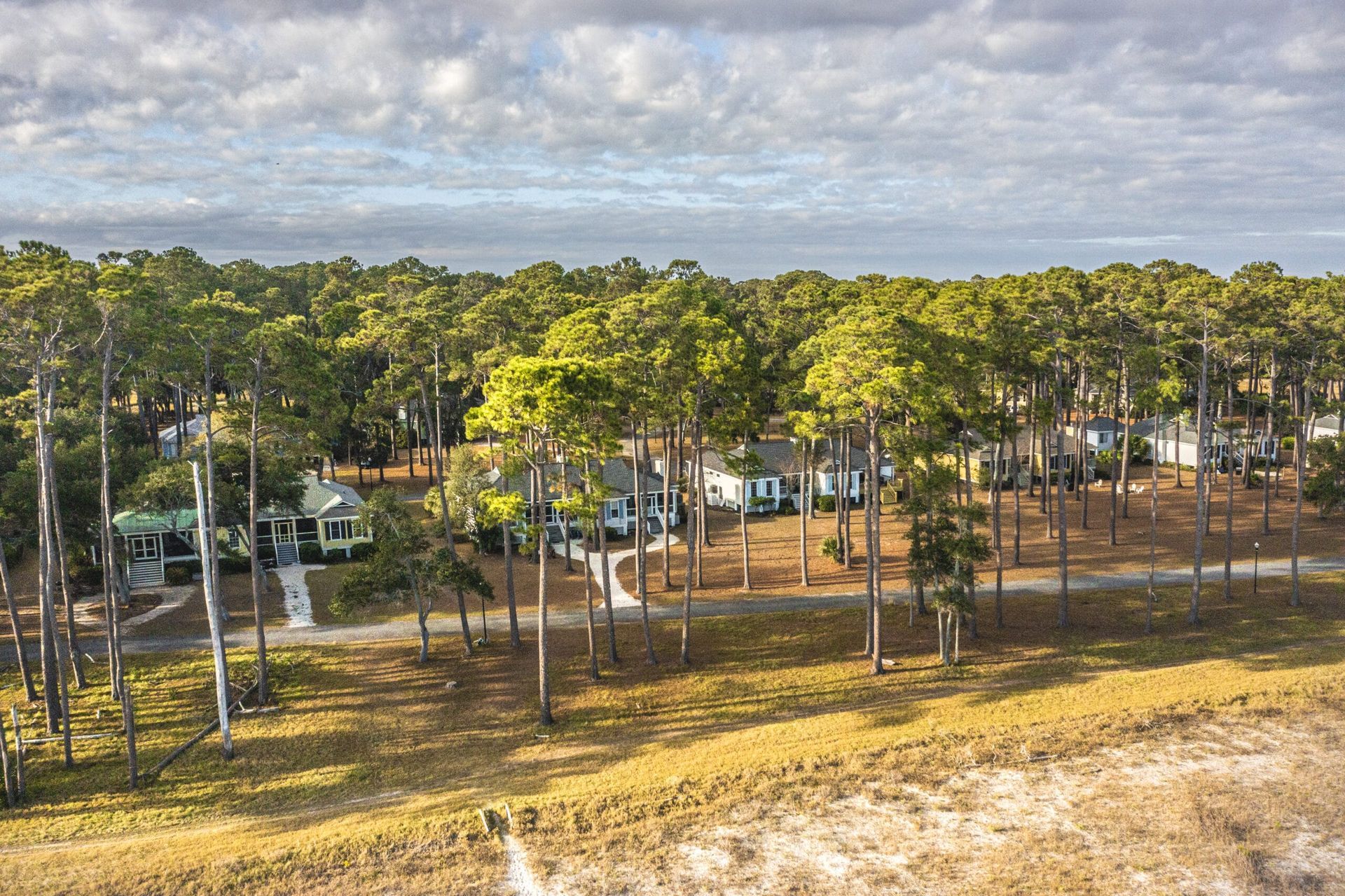 An aerial view of a forest with houses in the background