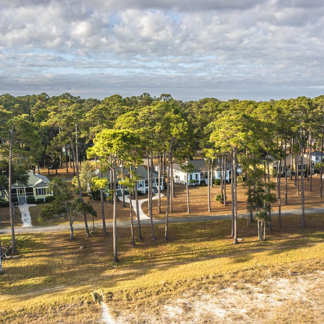 An aerial view of a residential area surrounded by trees and houses