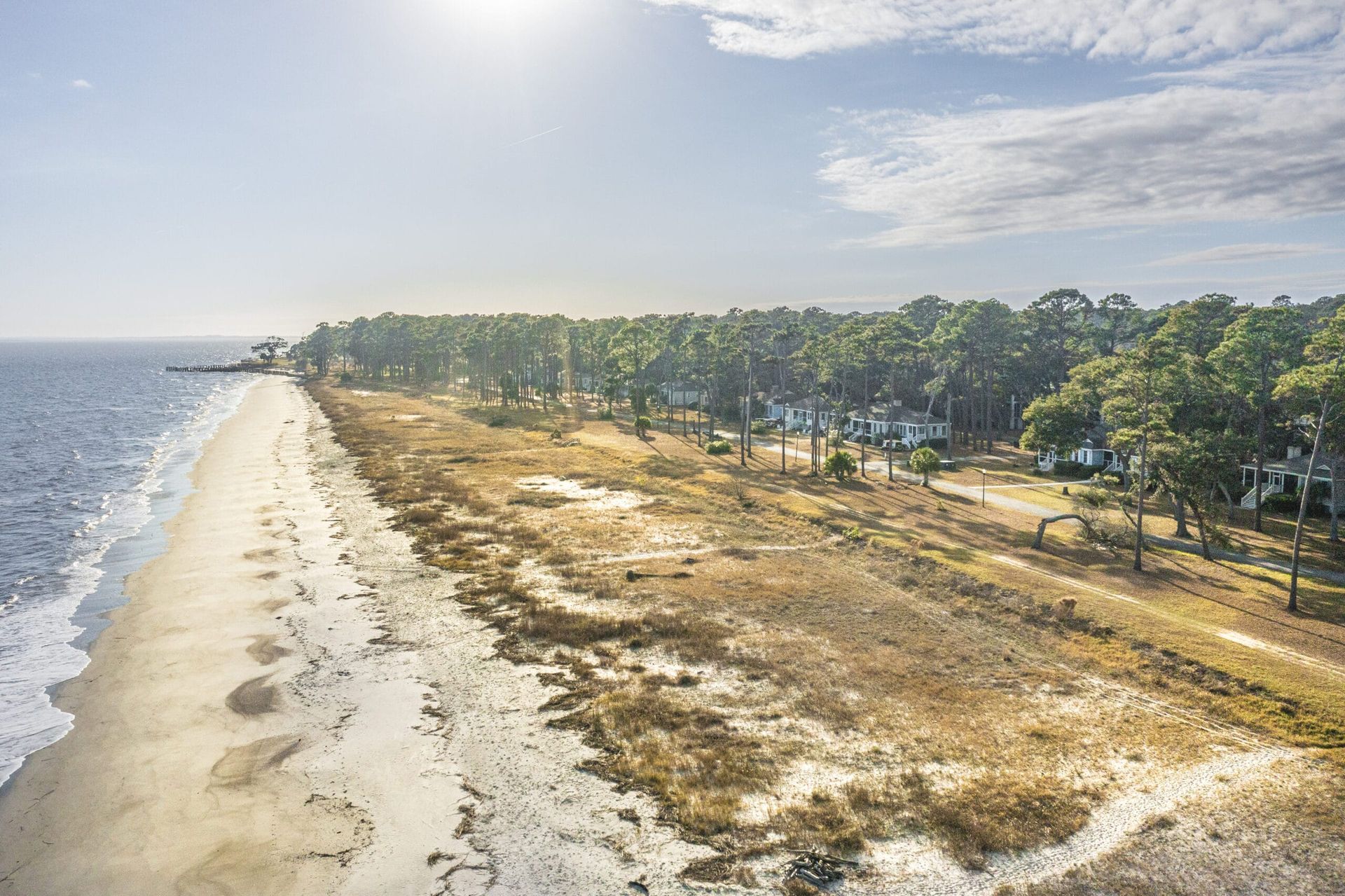 An aerial view of a beach with trees and a body of water.