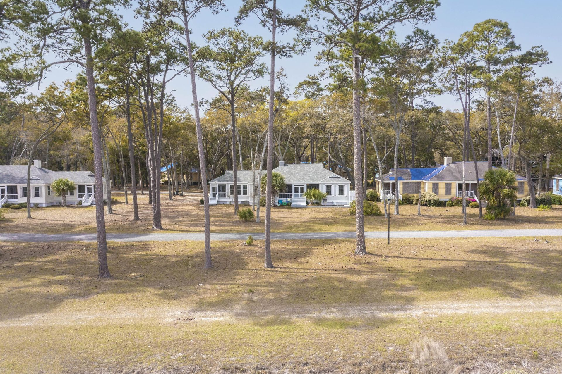 A row of houses are surrounded by trees in a residential area.
