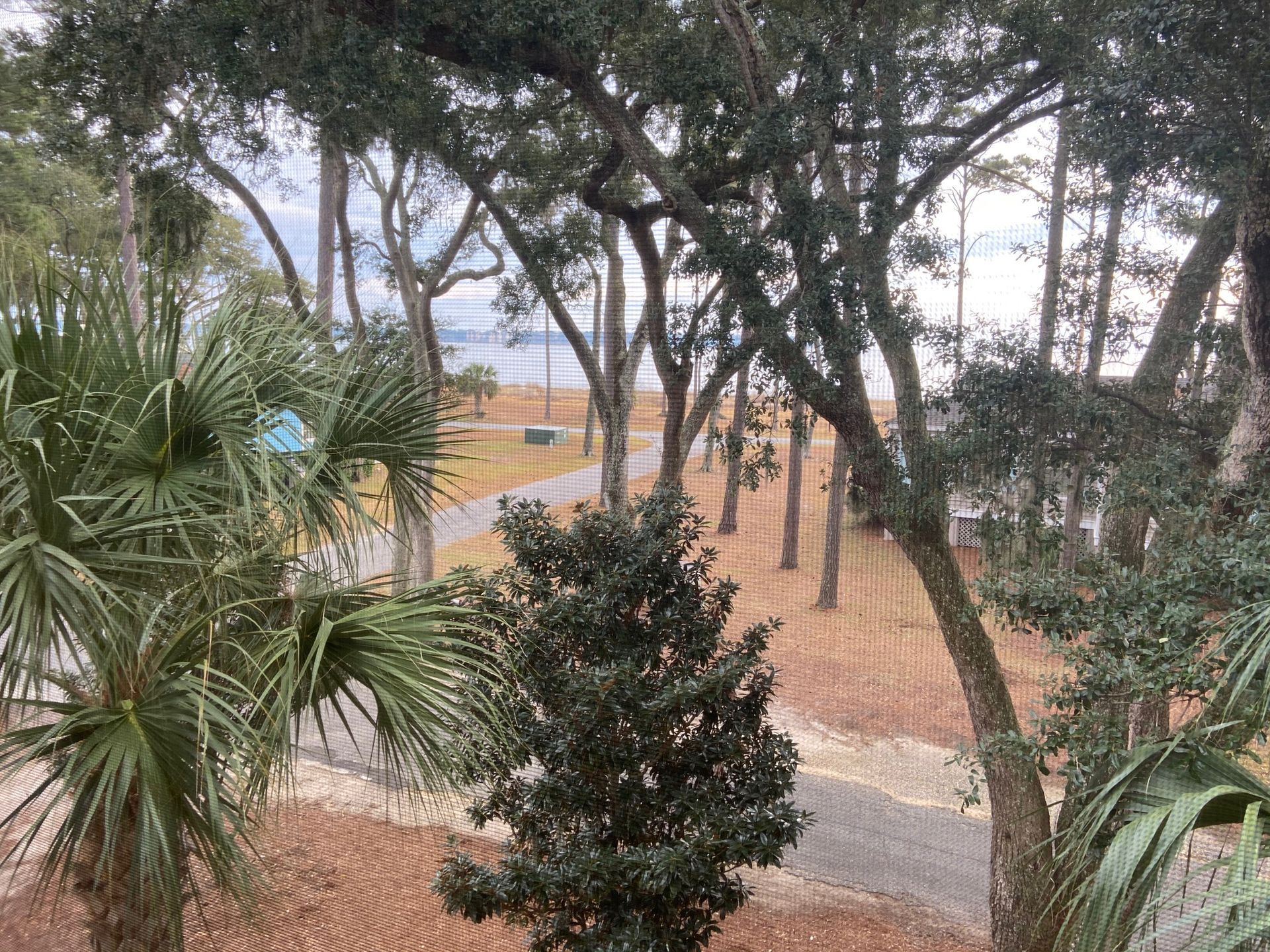 A view of a beach from a balcony with trees and palm trees.