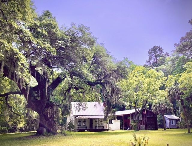 A house in the middle of a lush green field surrounded by trees.