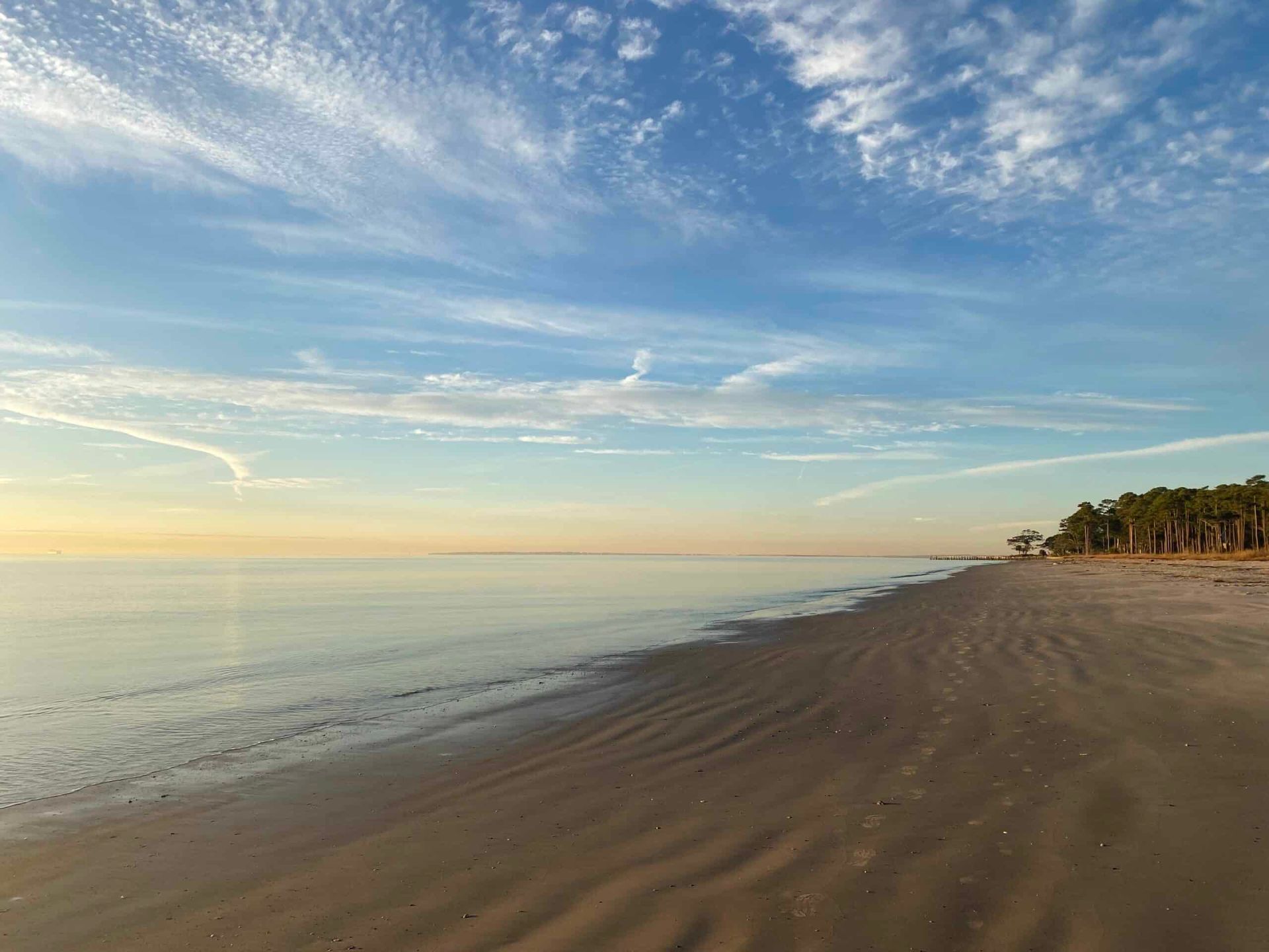 A beach with trees on the shore and a blue sky with clouds