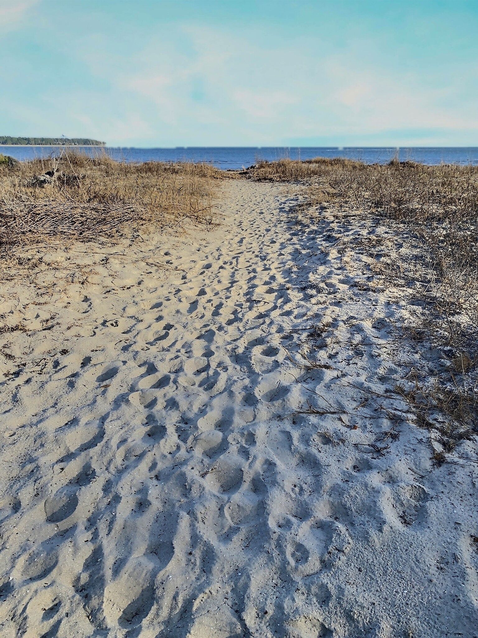 A path leading to the ocean on a sandy beach.