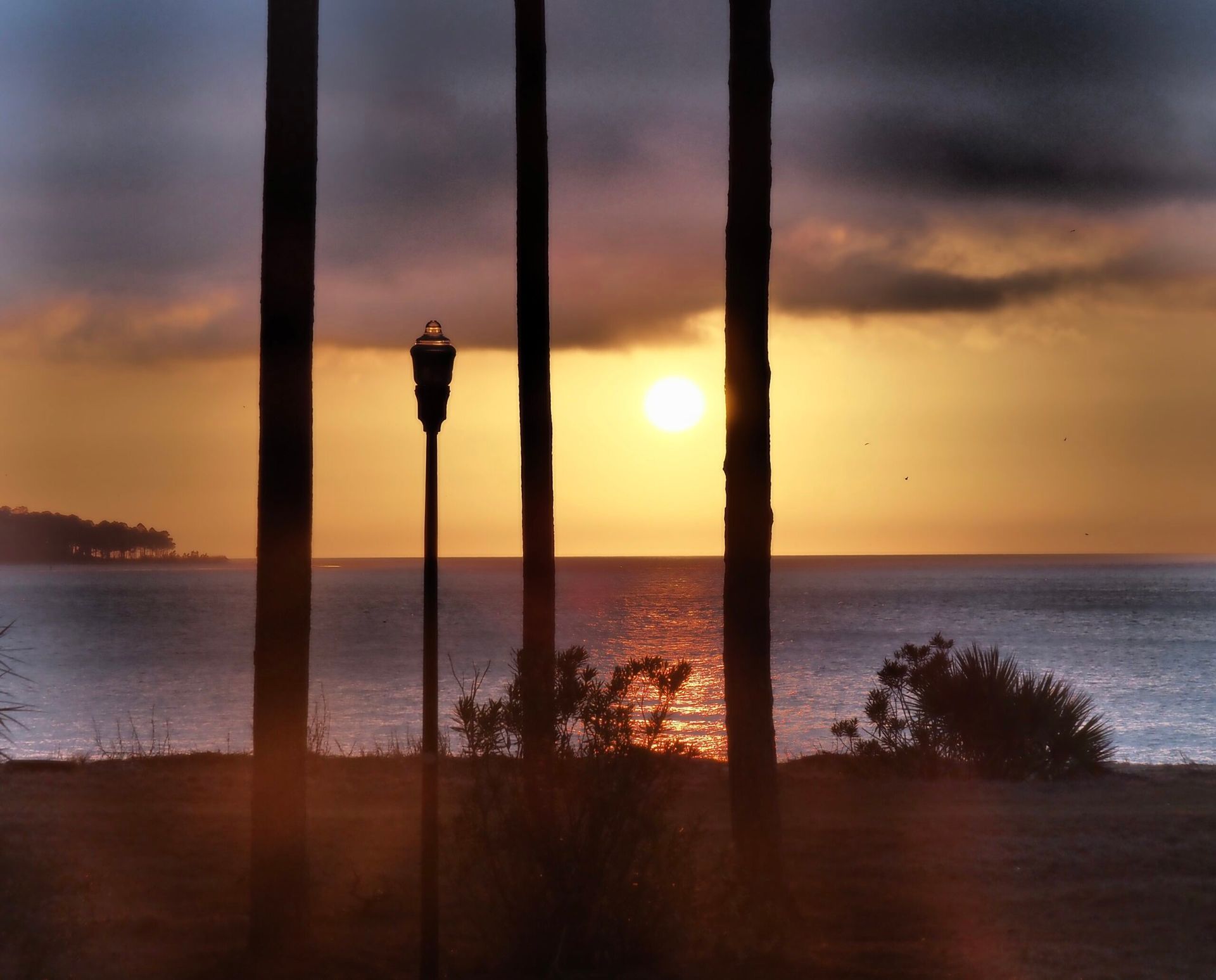 A sunset over the ocean with palm trees in the foreground
