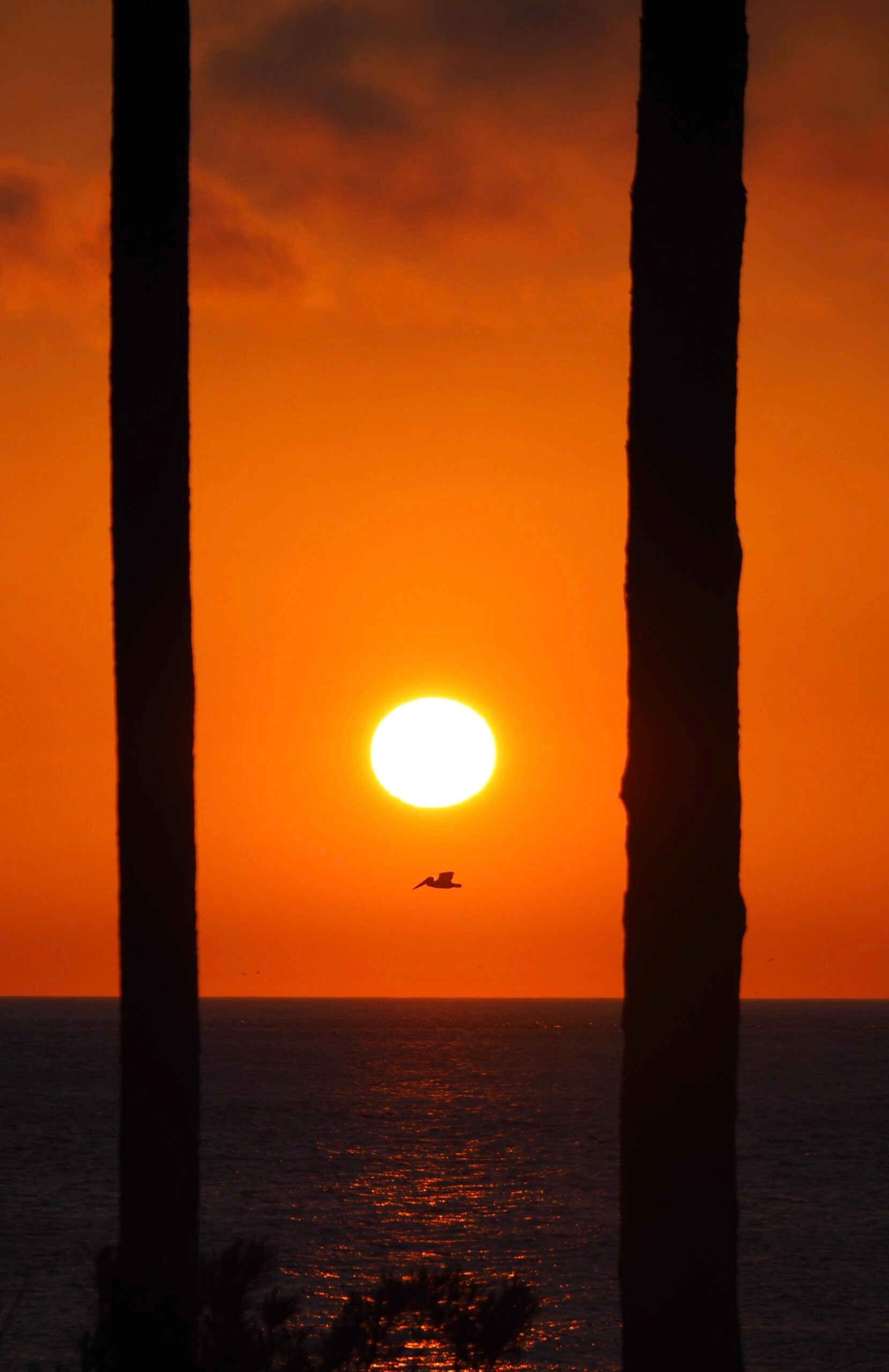 A sunset over the ocean with a plane flying in the distance.