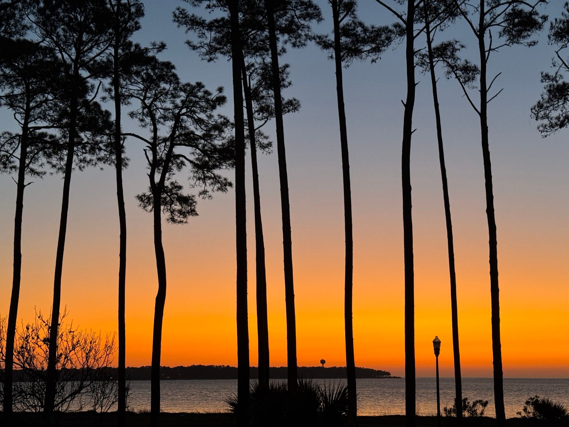 A sunset over the ocean with trees in the foreground