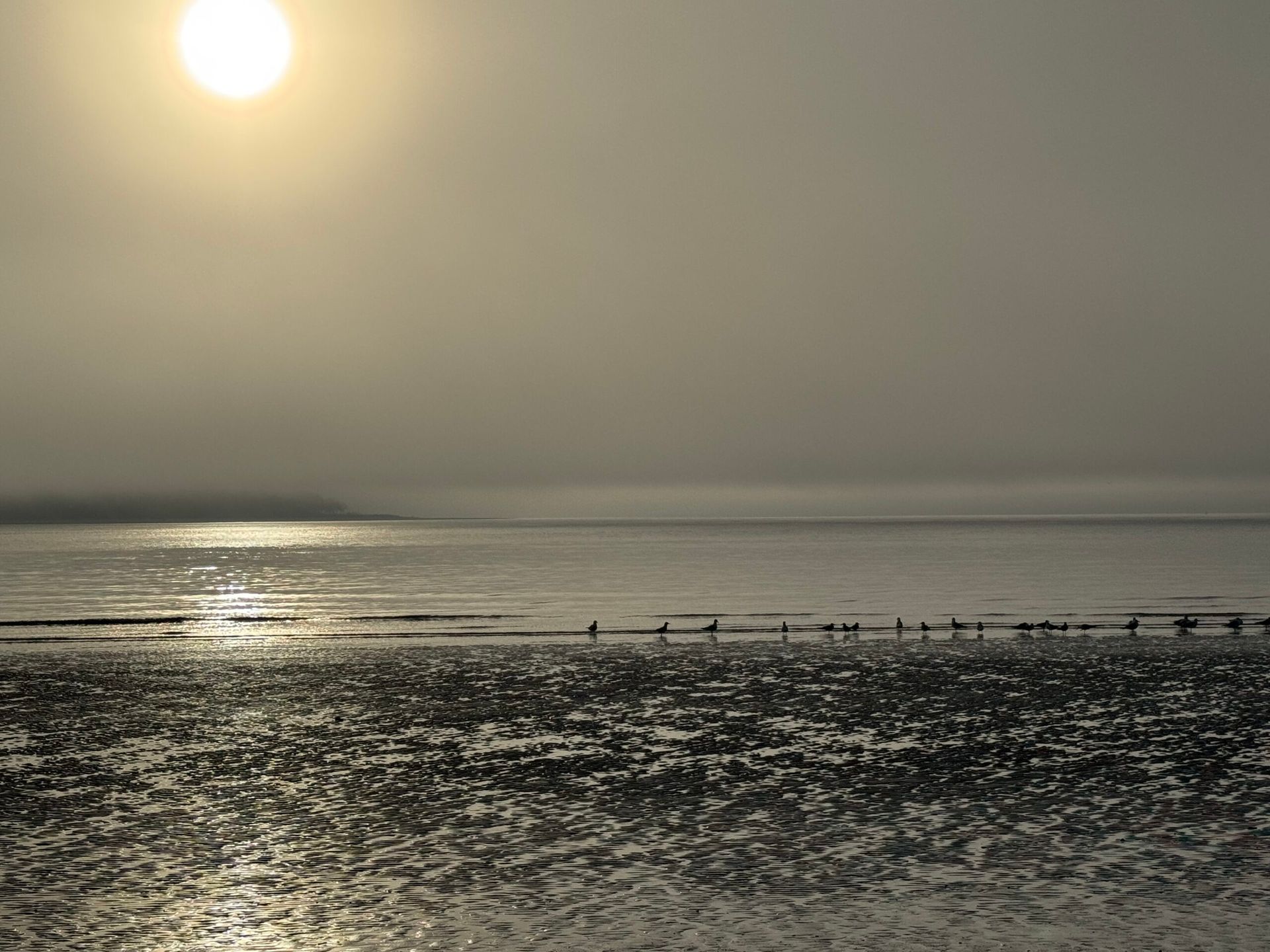 The sun is setting over a body of water