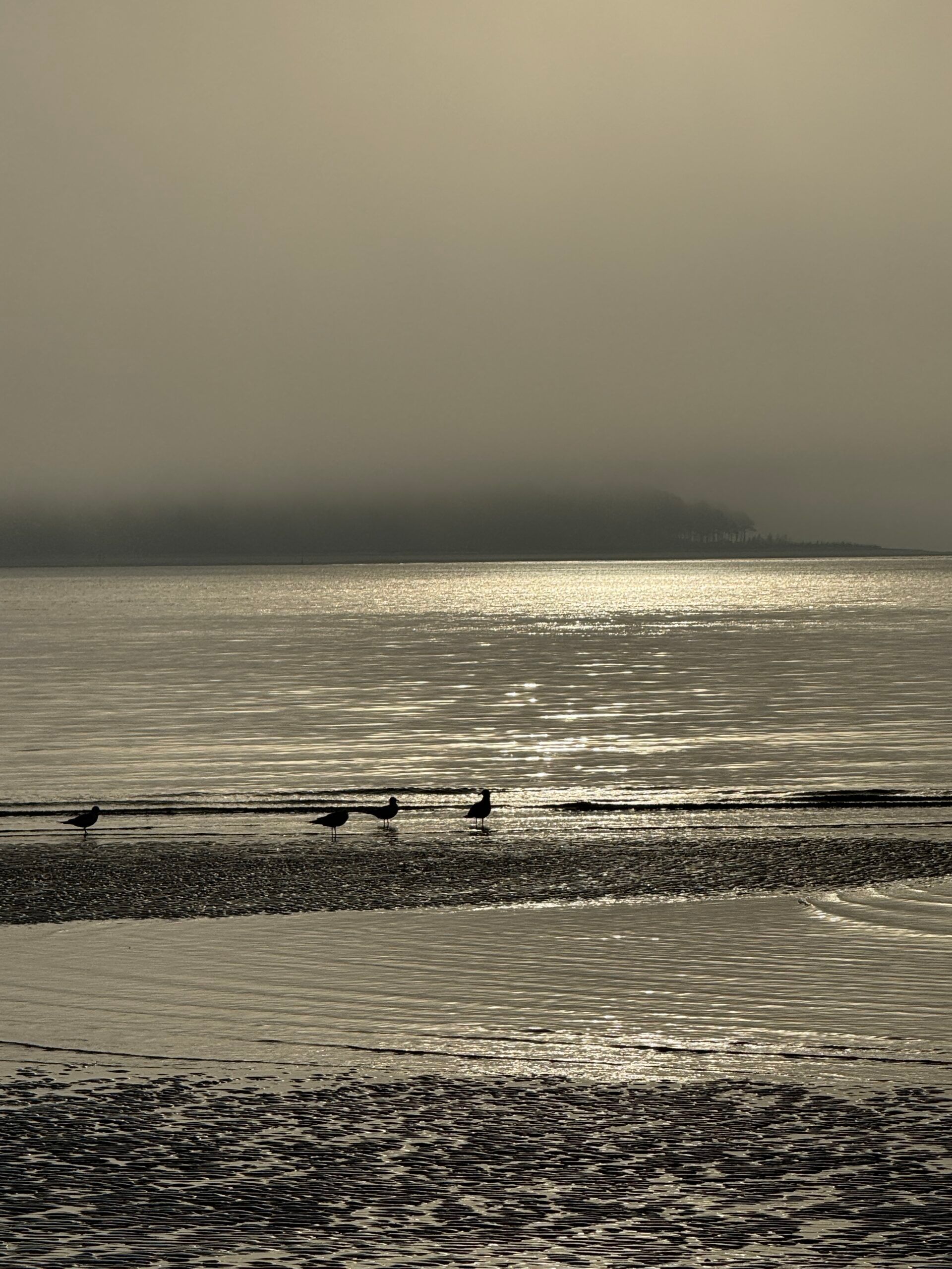 A black and white photo of a body of water