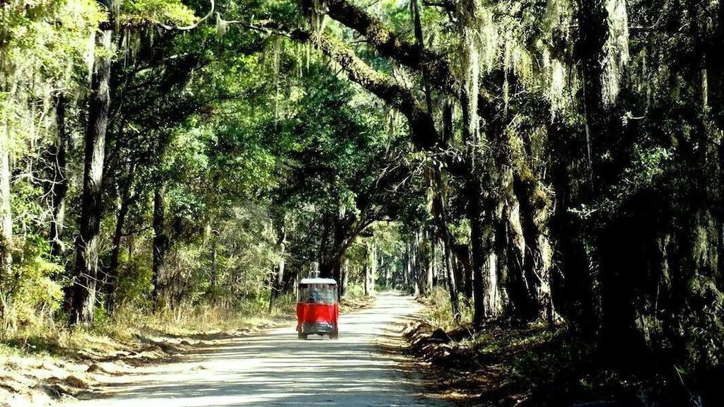A red golf cart is driving down a dirt road in the woods.