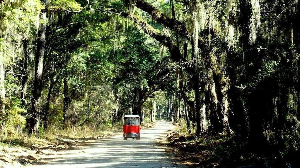 A red golf cart is driving down a dirt road surrounded by trees.
