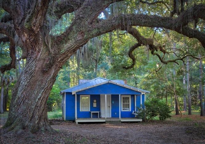 A blue house is surrounded by trees in the middle of a forest.