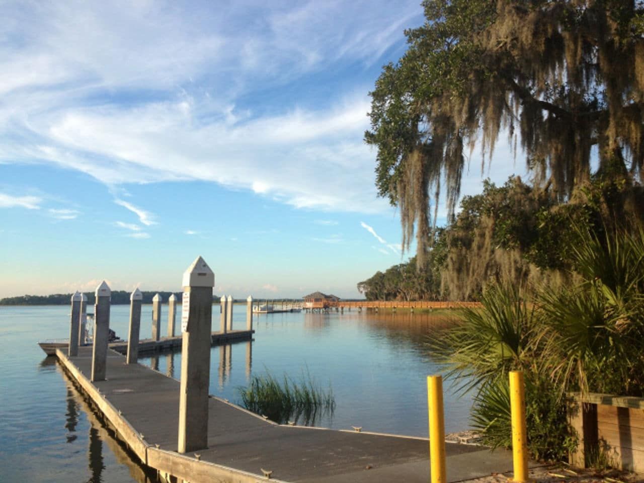 A dock overlooking a body of water with spanish moss on the trees