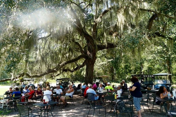 A group of people are sitting at tables under a tree.