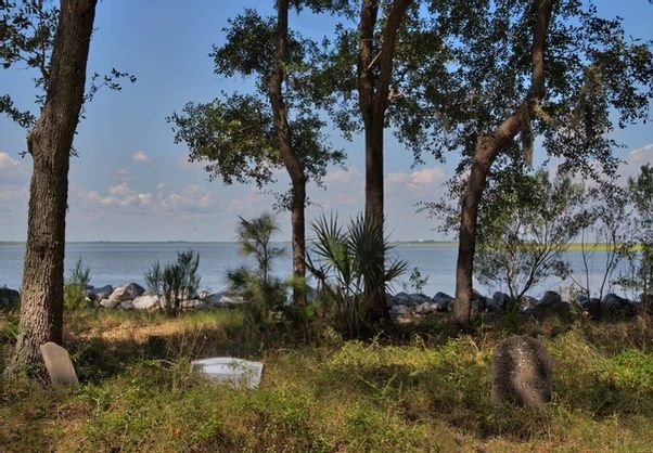 A cemetery with trees and a body of water in the background