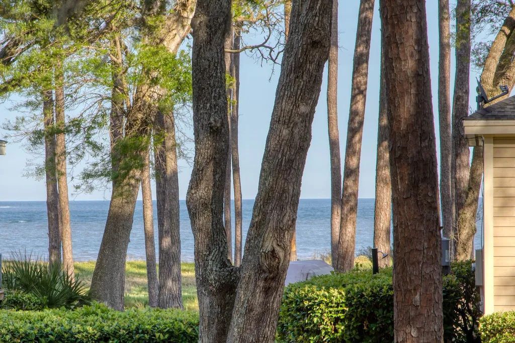 A house is surrounded by trees and bushes with a view of the ocean.