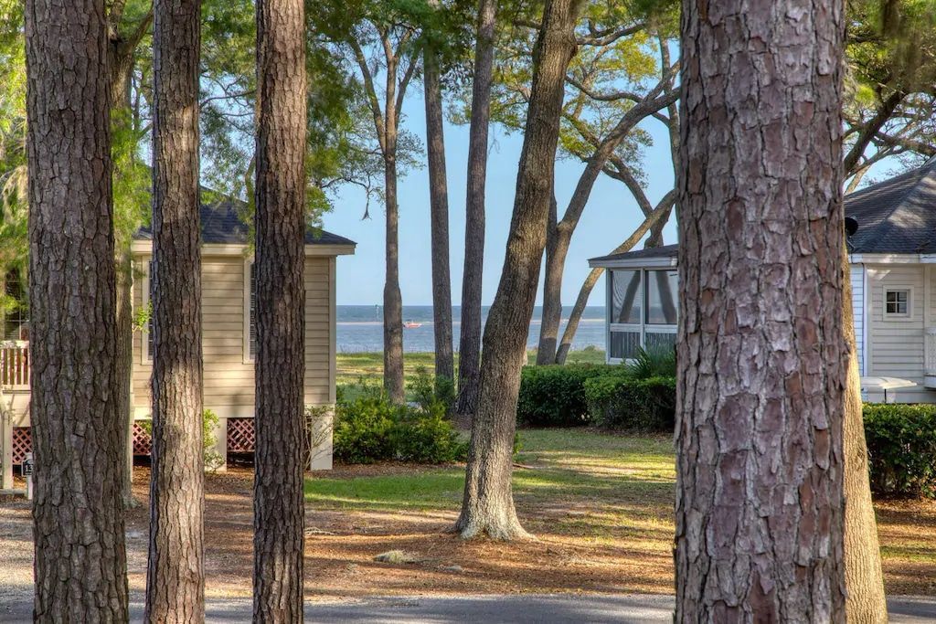 A house is behind a row of pine trees with a view of the ocean.