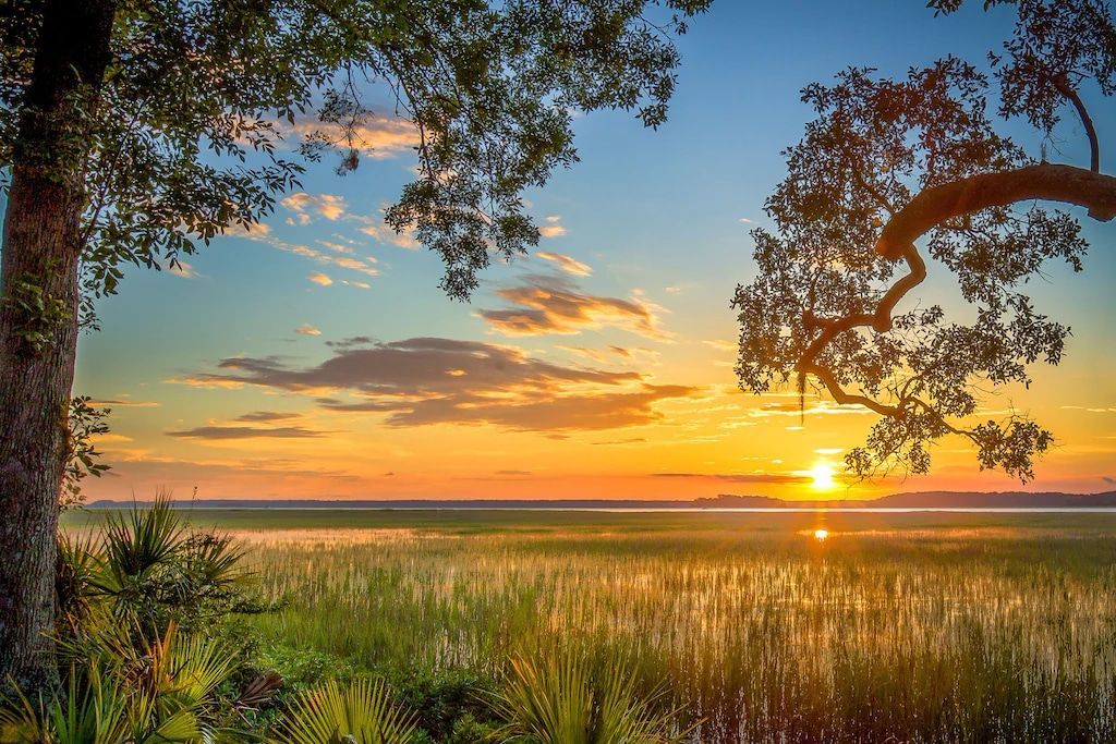 A sunset over a body of water with a tree in the foreground.