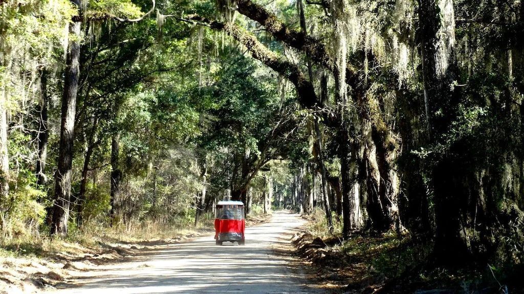 A red golf cart is driving down a dirt road in the woods.