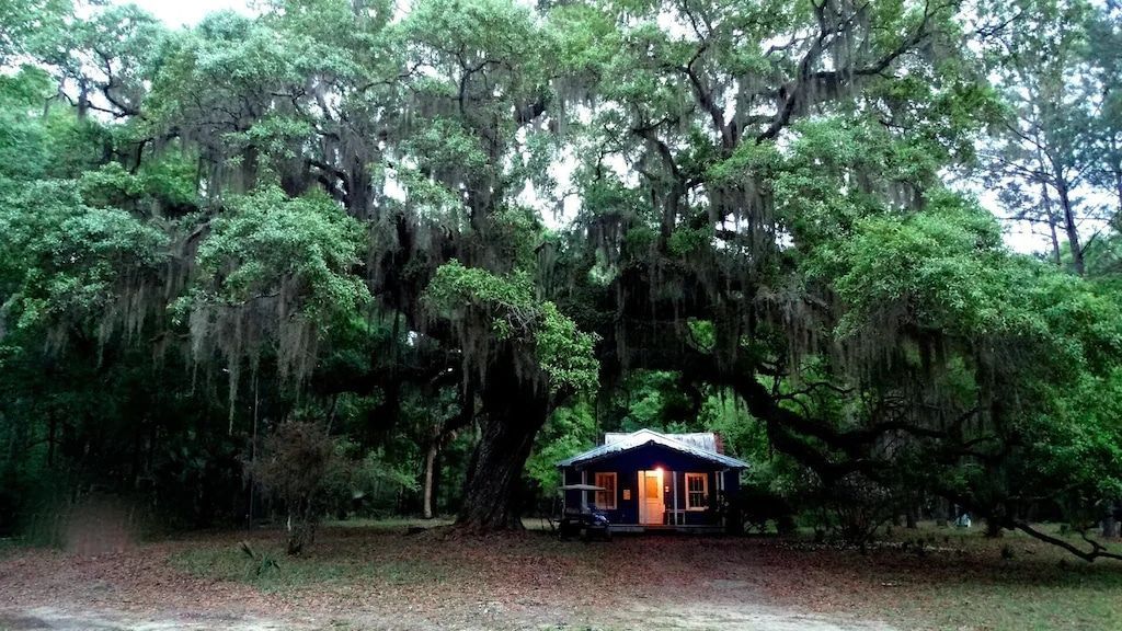 A small house is surrounded by trees and spanish moss.