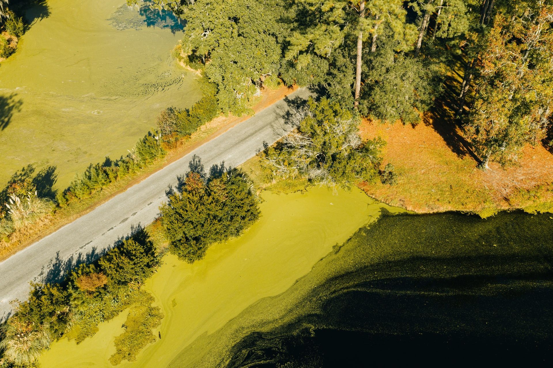 An aerial view of a road going through a swamp next to a lake.
