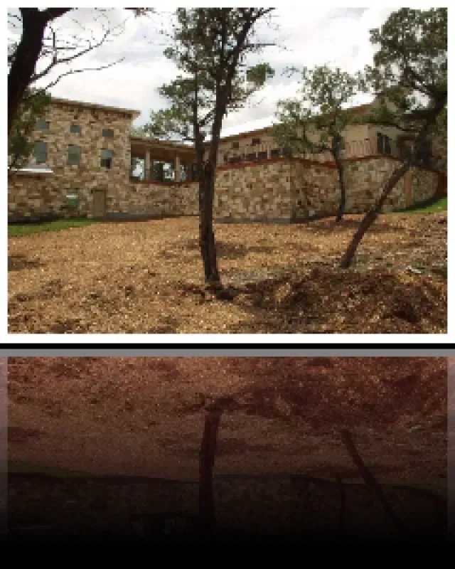 A large stone building with a lot of trees in front of it