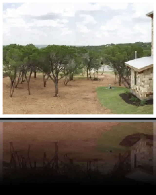 A house sits in the middle of a field surrounded by trees