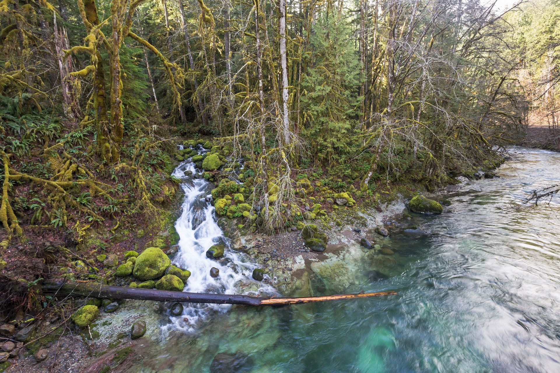 A clear, turquoise river flows past a waterfall and mossy rocks. Forest surrounds the riverbank.