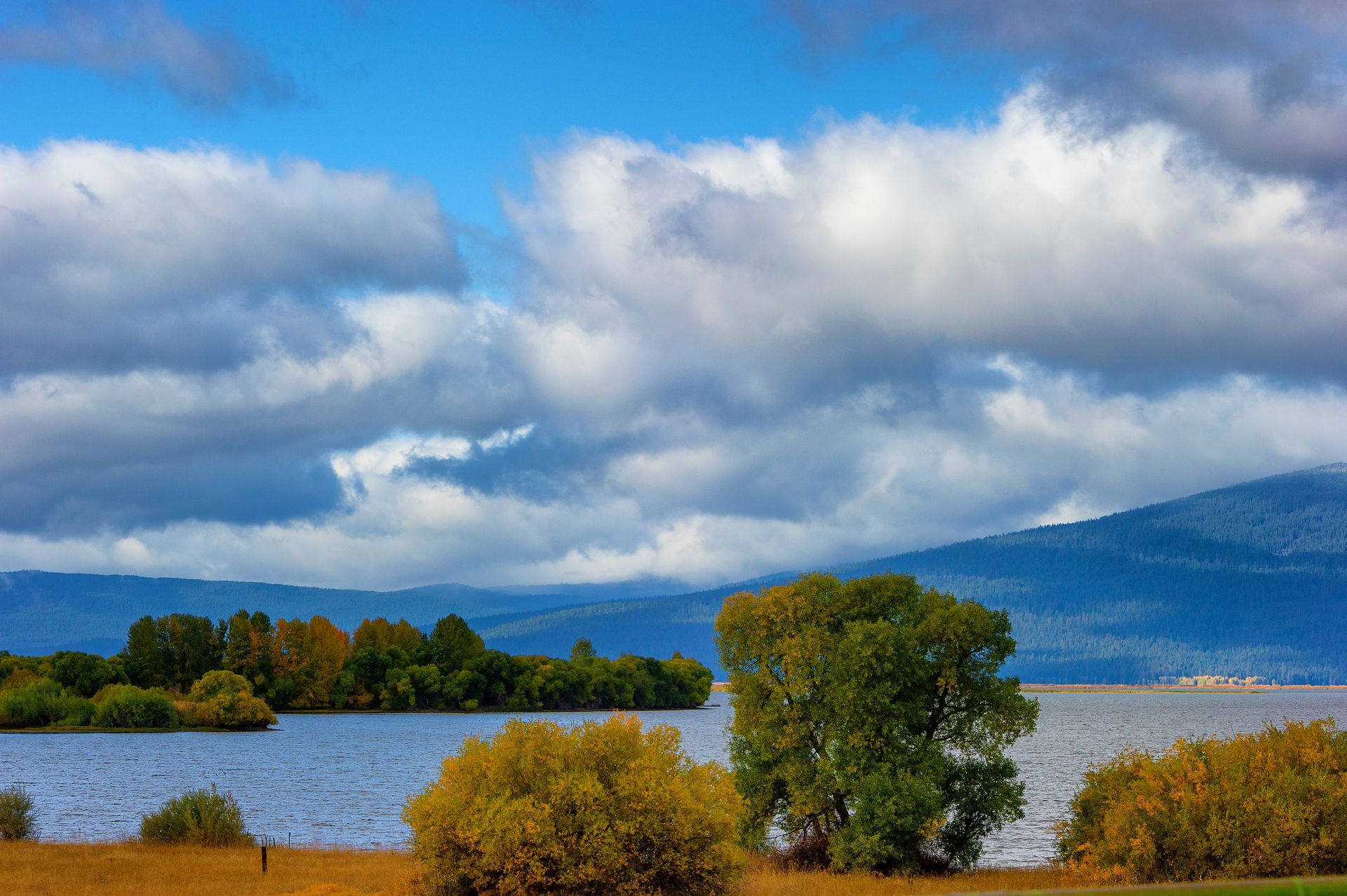 Lake scene with trees, mountains in the distance, under a cloudy sky.