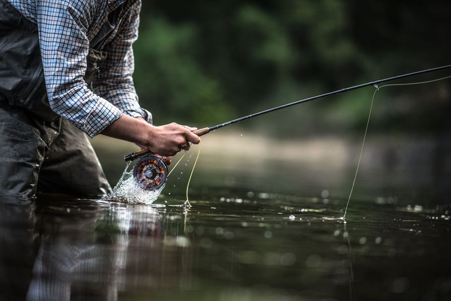 Angler wading in water, holding a fishing rod with line, reel visible, surrounded by a blurry green background.