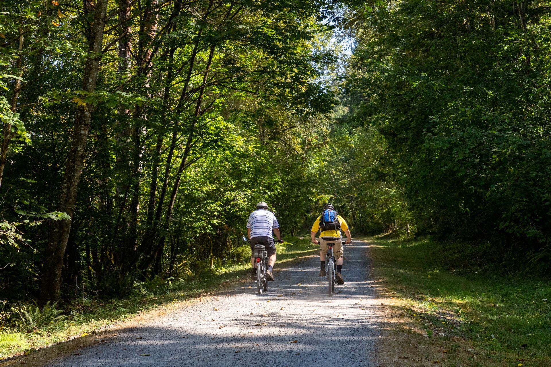 Two cyclists ride along a tree-lined path in a forest.