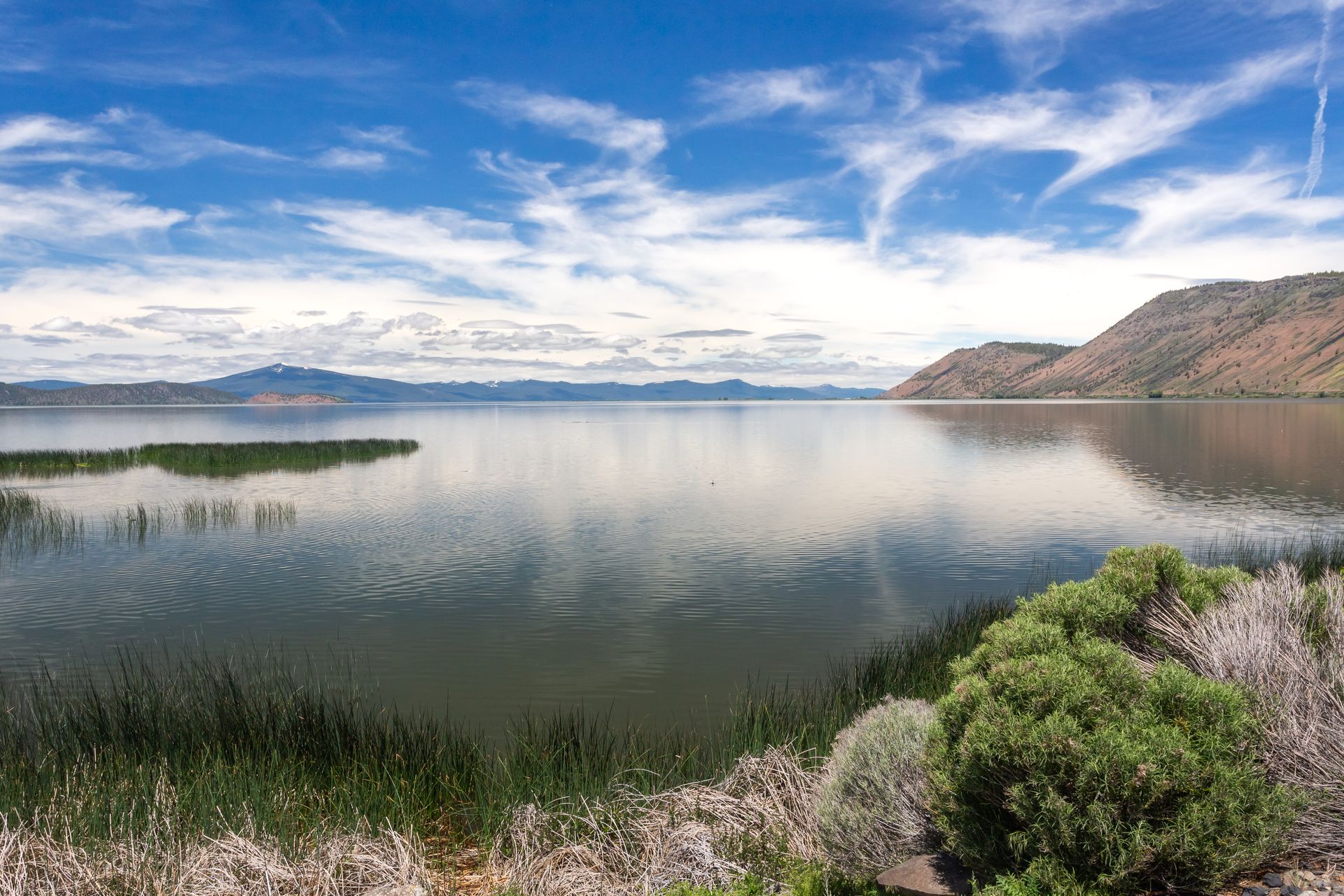 A tranquil lake reflects a cloudy blue sky, with green reeds and shrubs in the foreground, mountains in the distance.