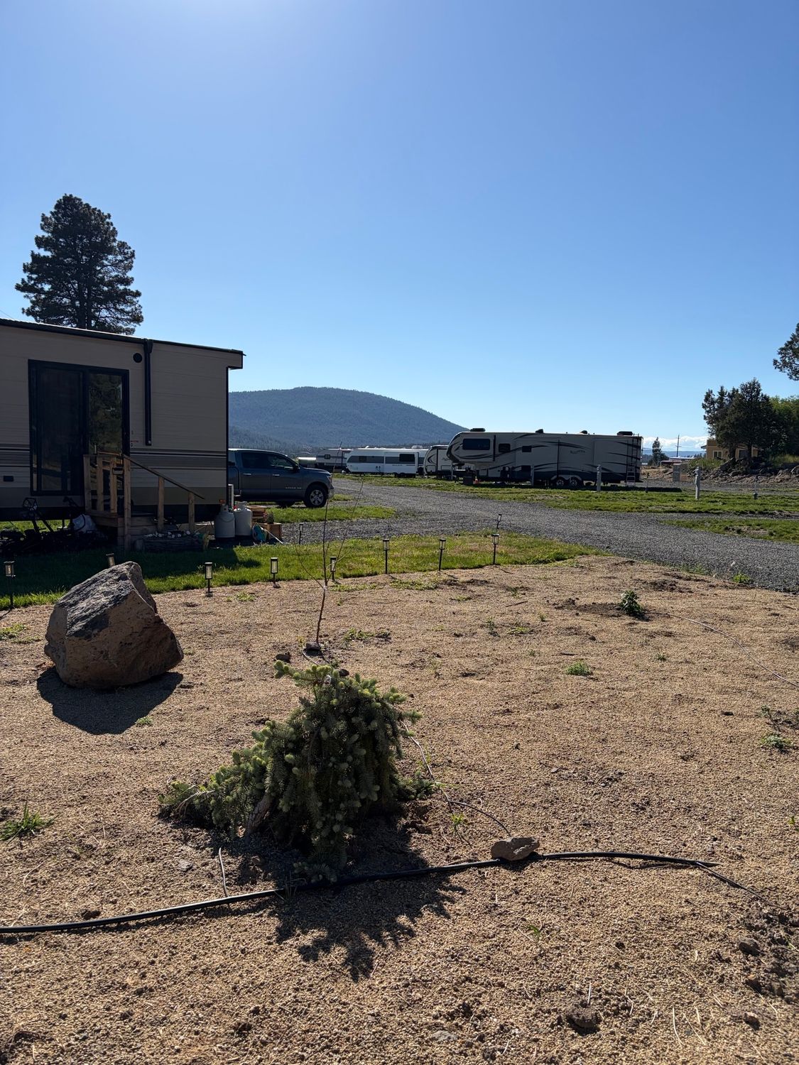 Gravel yard with a bush and large rock, RVs and a building under a clear blue sky with mountains in the distance
