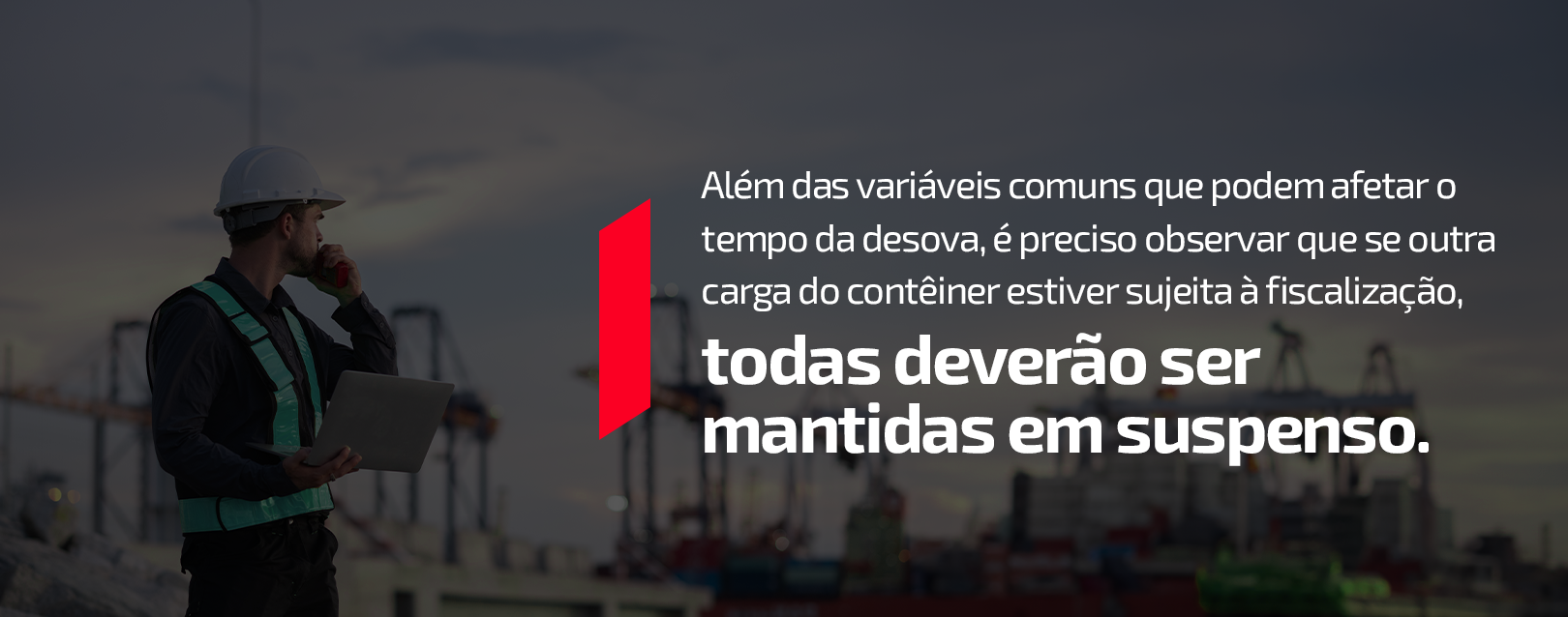 Fiscalização pode suspender todas as cargas durante o processo de desova de contêiner.