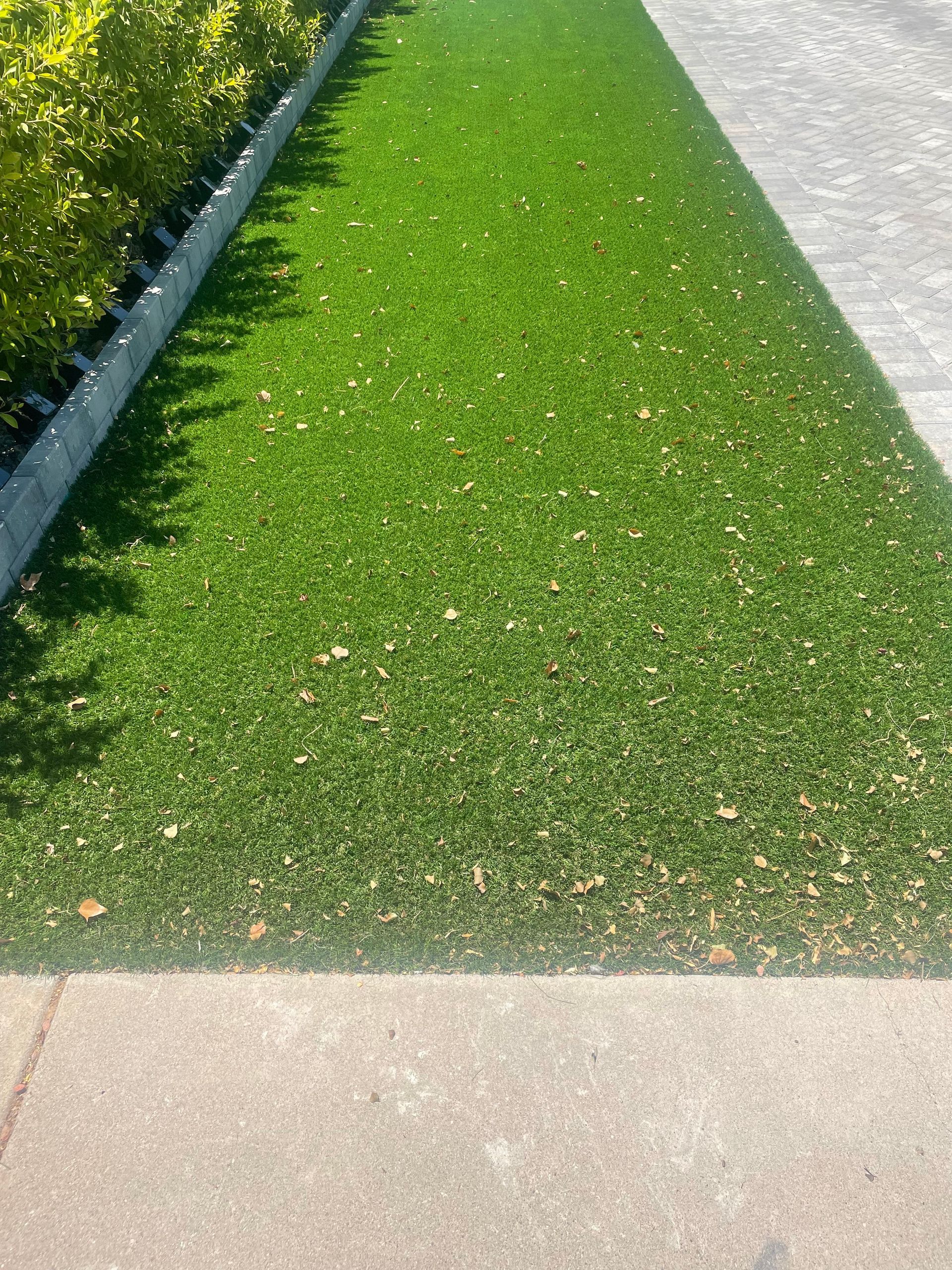 A lush green field of grass next to a sidewalk.