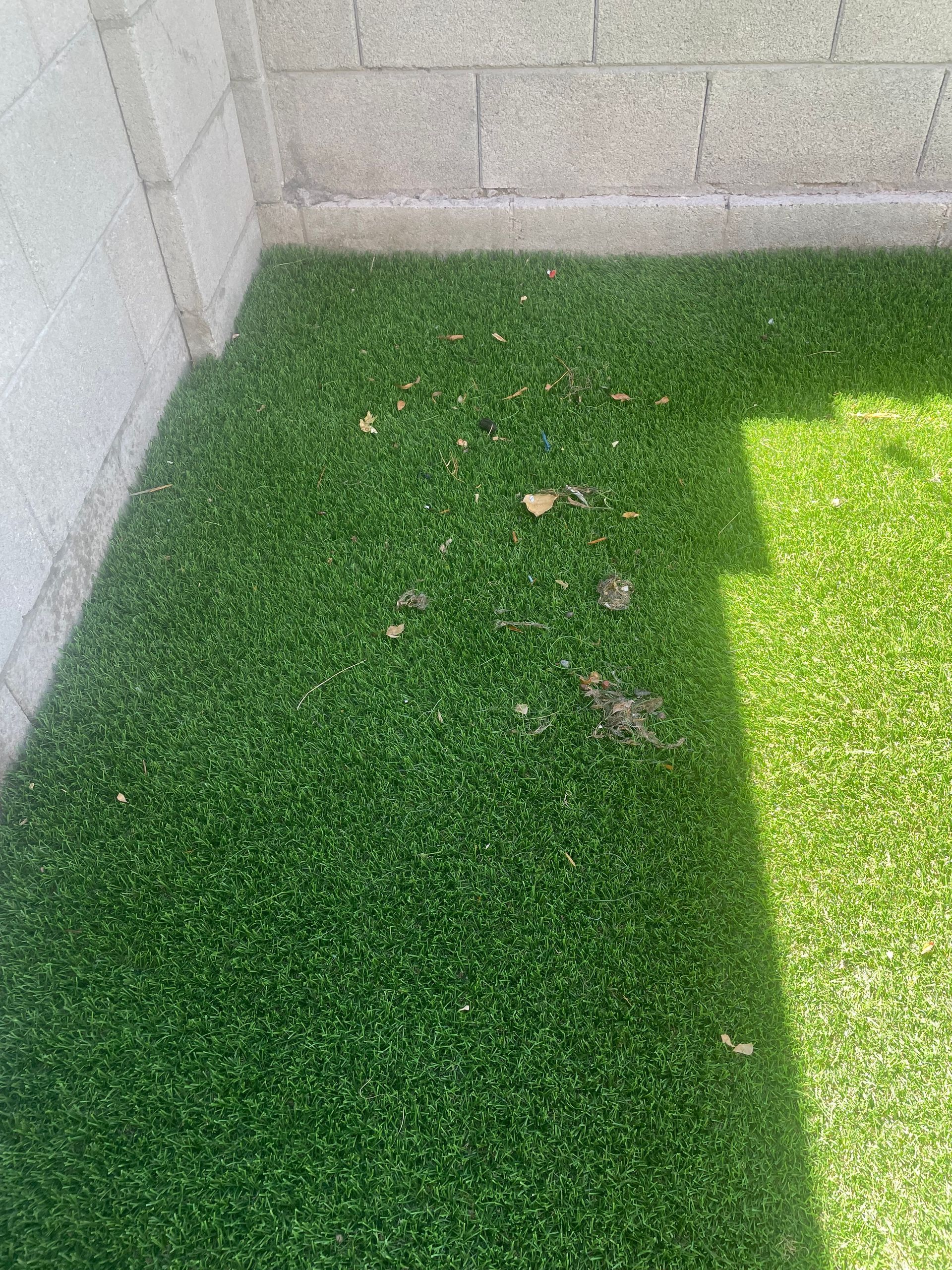 A corner of a lawn with a brick wall in the background.